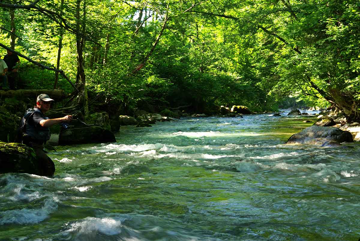 Photo 978003
